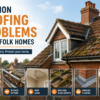 Common Roofing Problems
